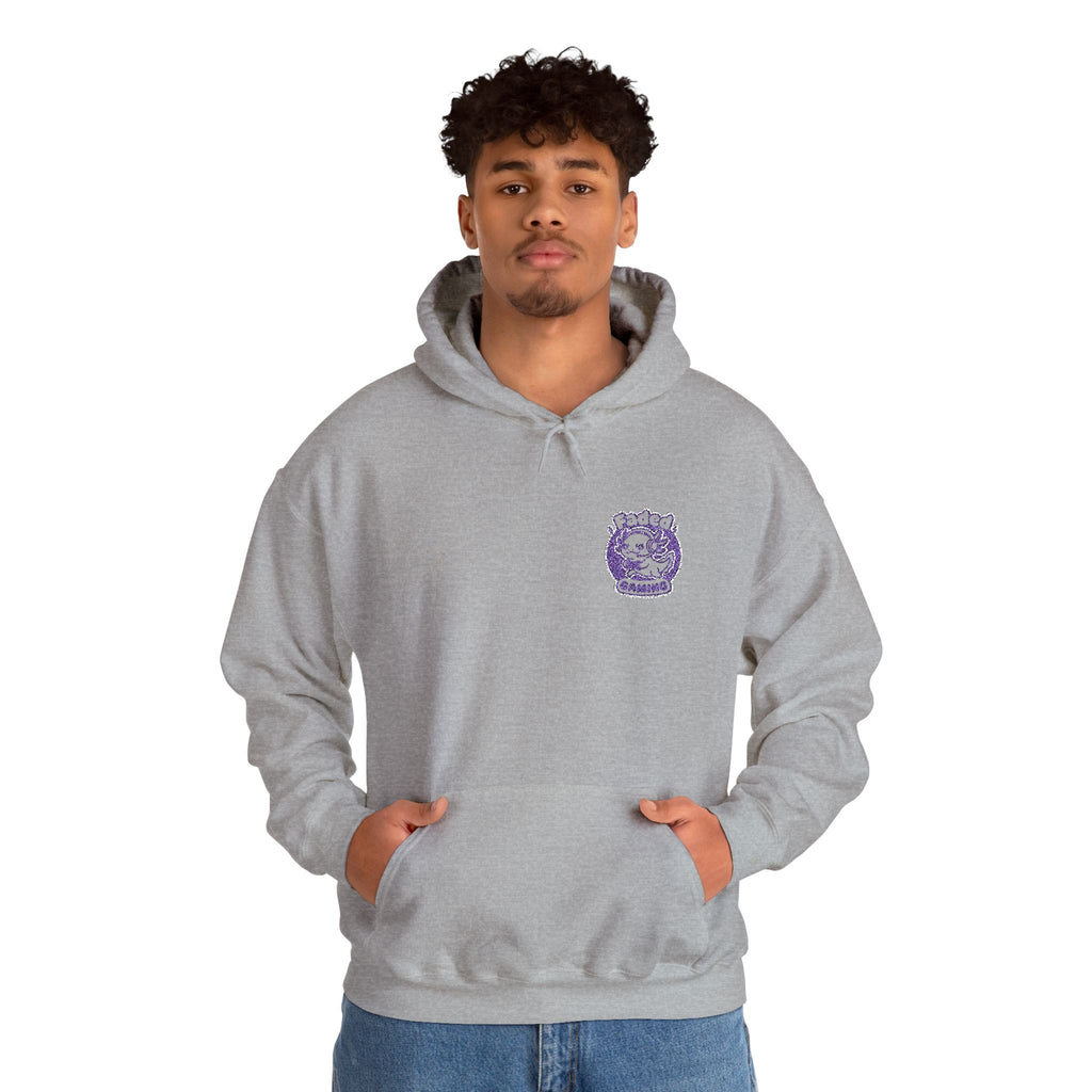 Embroidered - Hoodie